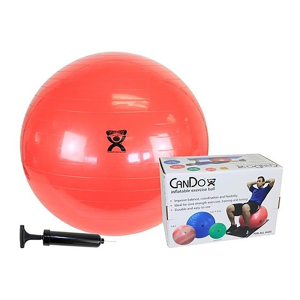 Pelota Esferodinamia con inflador Gaiam